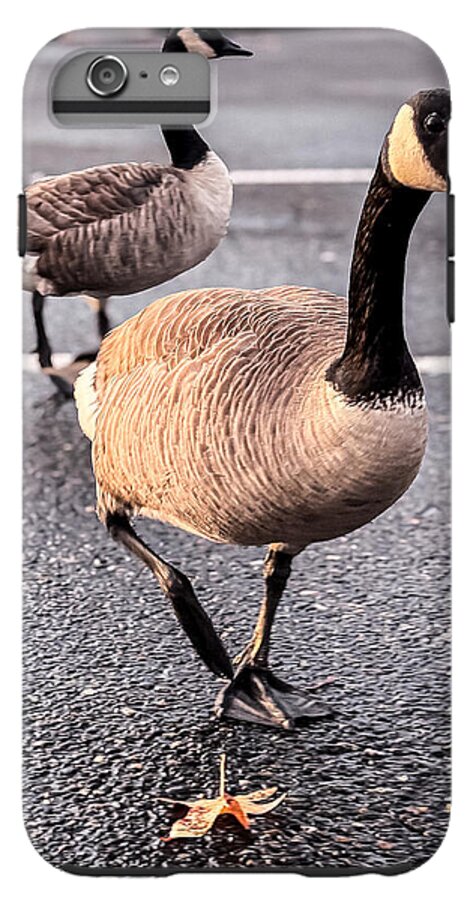 Geese in the parking lot - Phone Case