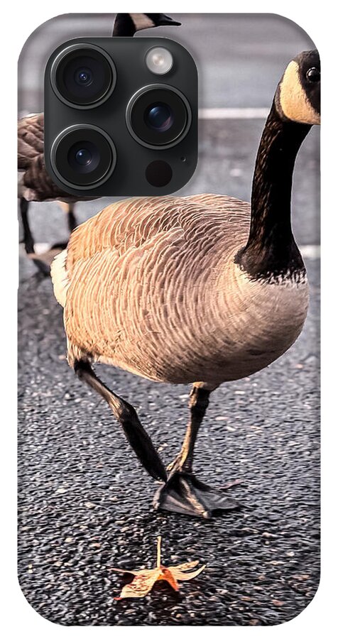Geese in the parking lot - Phone Case