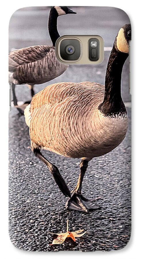 Geese in the parking lot - Phone Case