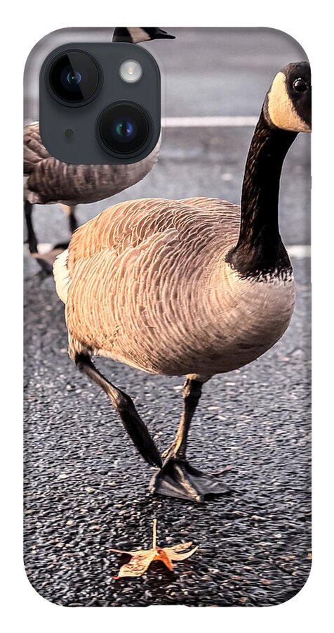Geese in the parking lot - Phone Case