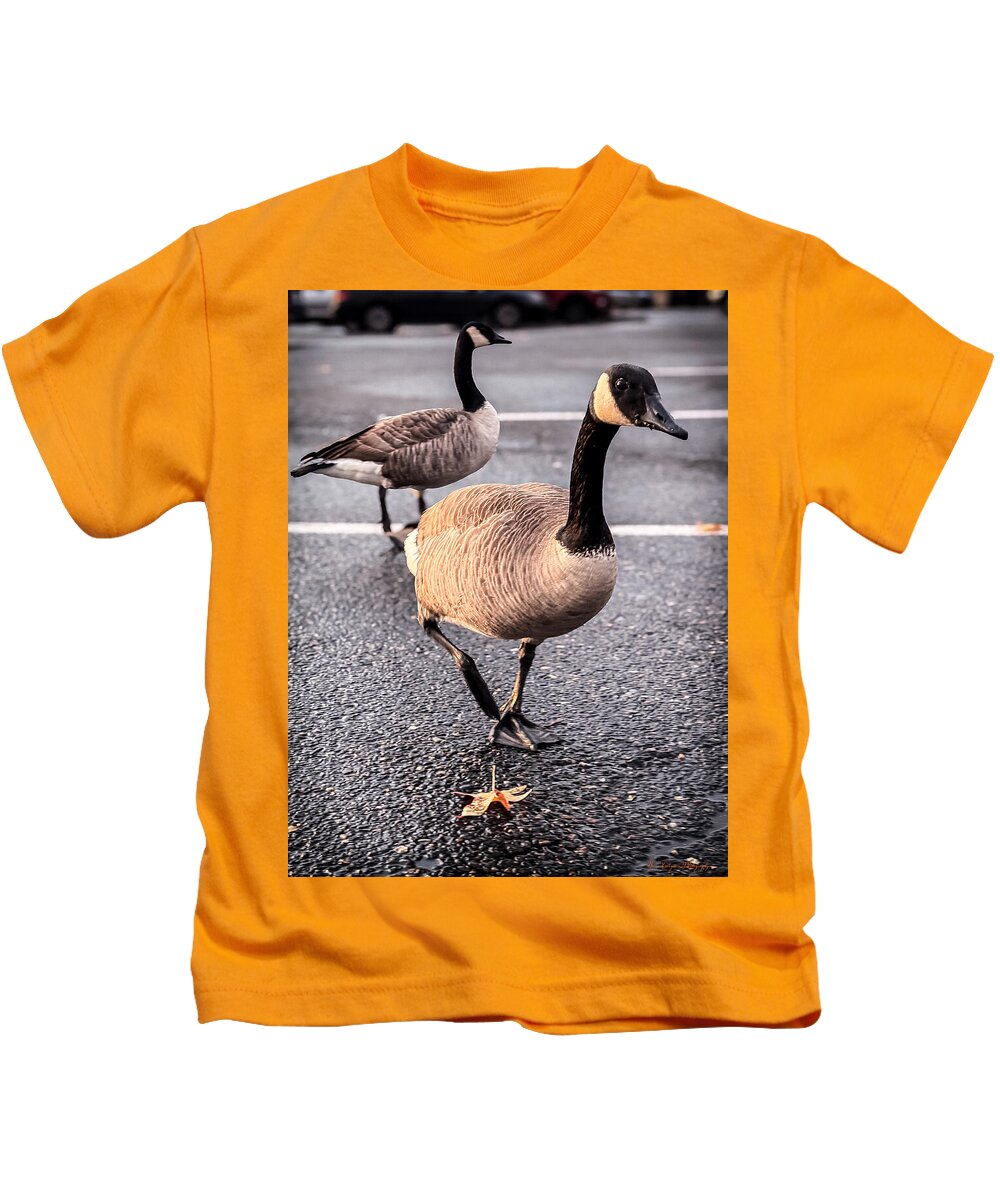 Geese in the parking lot - Kids T-Shirt