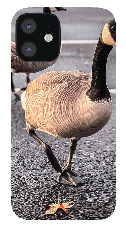 Geese in the parking lot - Phone Case