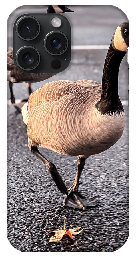 Geese in the parking lot - Phone Case