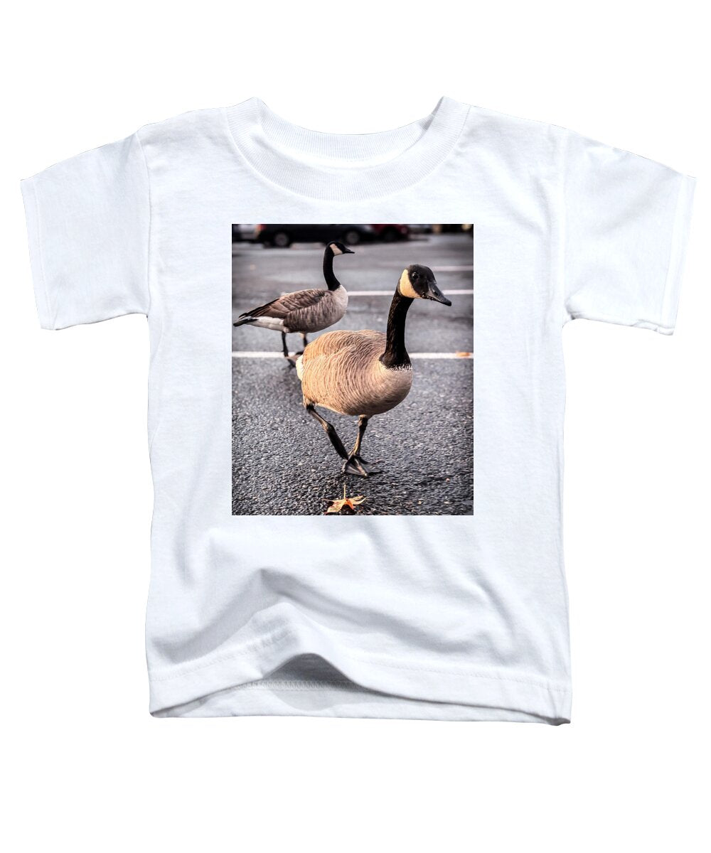 Geese in the parking lot - Toddler T-Shirt