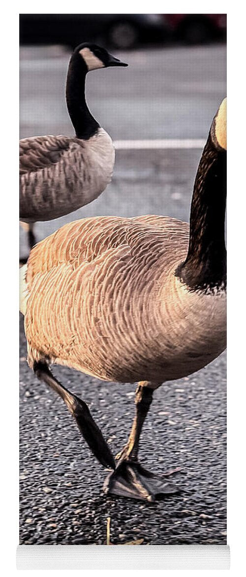 Geese in the parking lot - Yoga Mat
