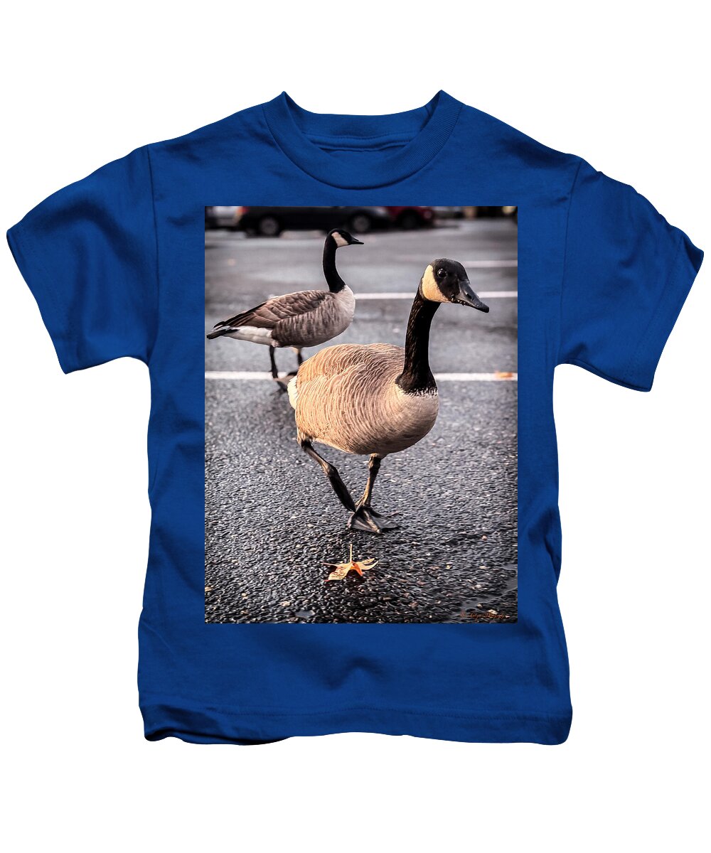 Geese in the parking lot - Kids T-Shirt