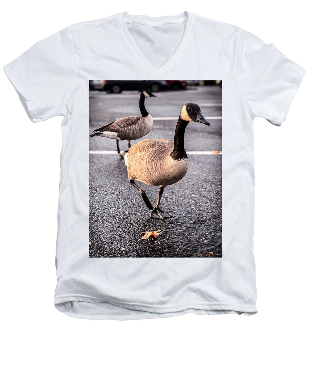 Geese in the parking lot - Men's V-Neck T-Shirt