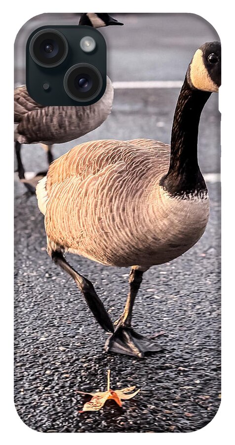 Geese in the parking lot - Phone Case