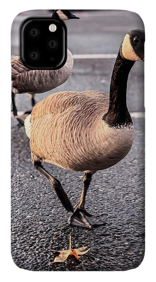 Geese in the parking lot - Phone Case