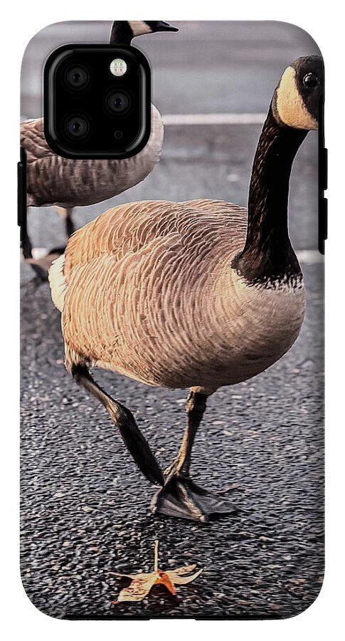 Geese in the parking lot - Phone Case