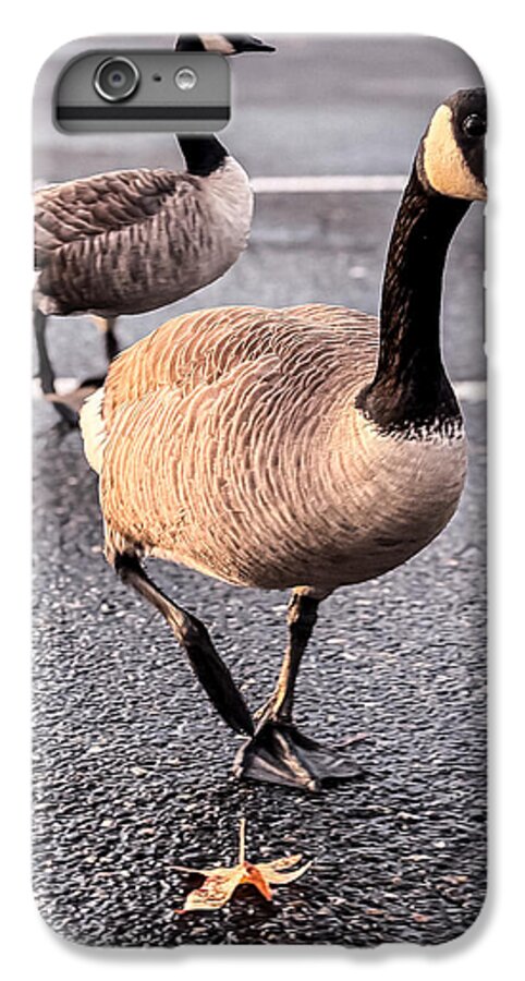 Geese in the parking lot - Phone Case