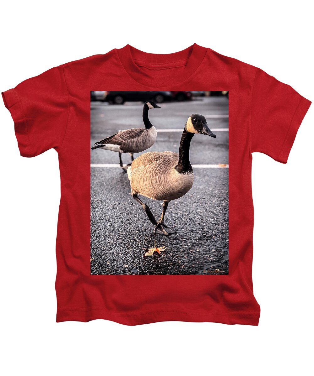Geese in the parking lot - Kids T-Shirt