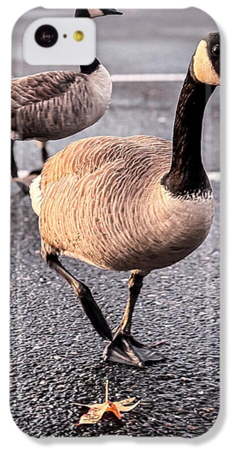 Geese in the parking lot - Phone Case