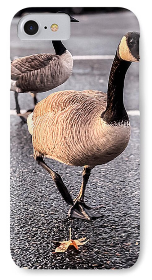 Geese in the parking lot - Phone Case