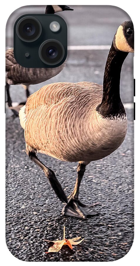 Geese in the parking lot - Phone Case