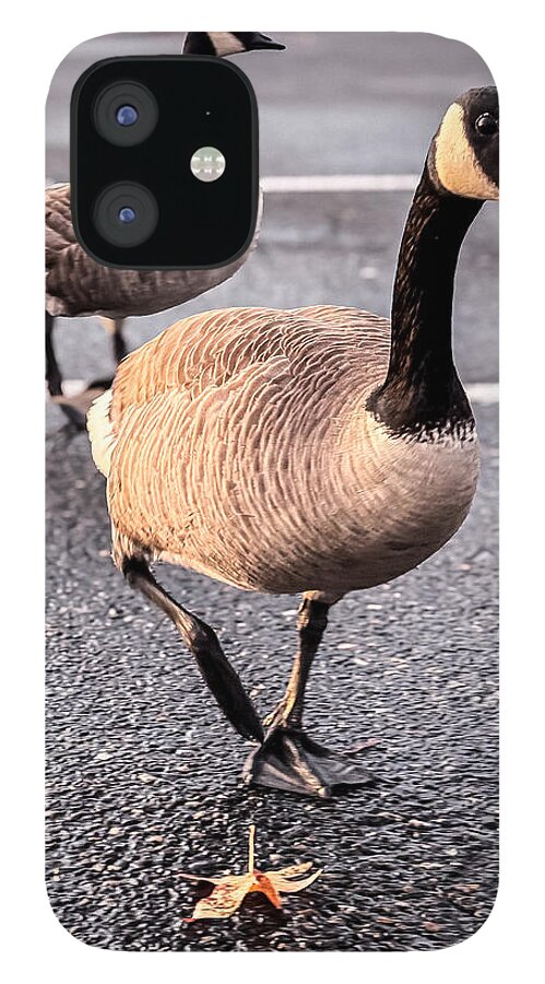 Geese in the parking lot - Phone Case