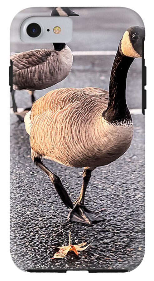 Geese in the parking lot - Phone Case