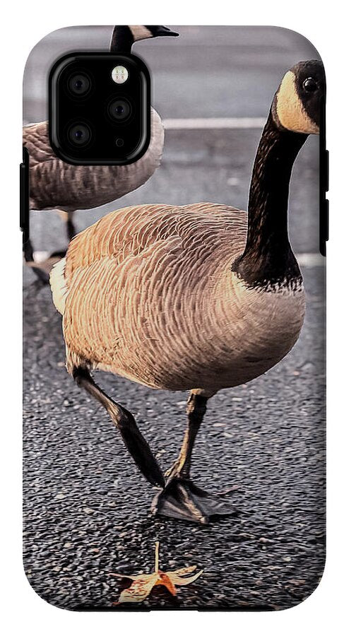 Geese in the parking lot - Phone Case