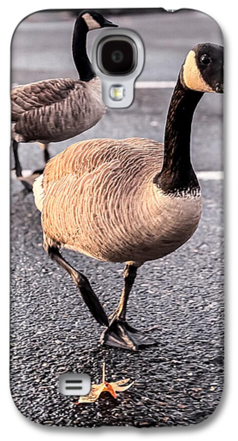 Geese in the parking lot - Phone Case
