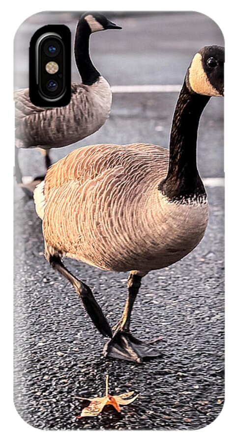 Geese in the parking lot - Phone Case