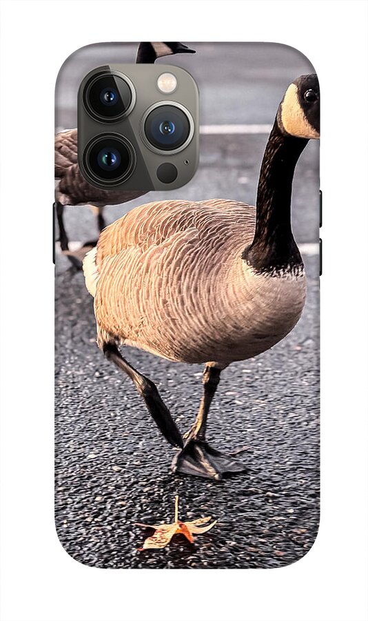 Geese in the parking lot - Phone Case