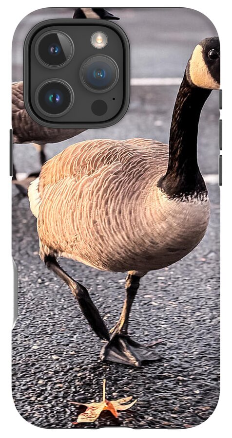 Geese in the parking lot - Phone Case