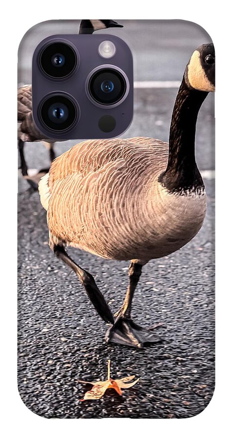 Geese in the parking lot - Phone Case