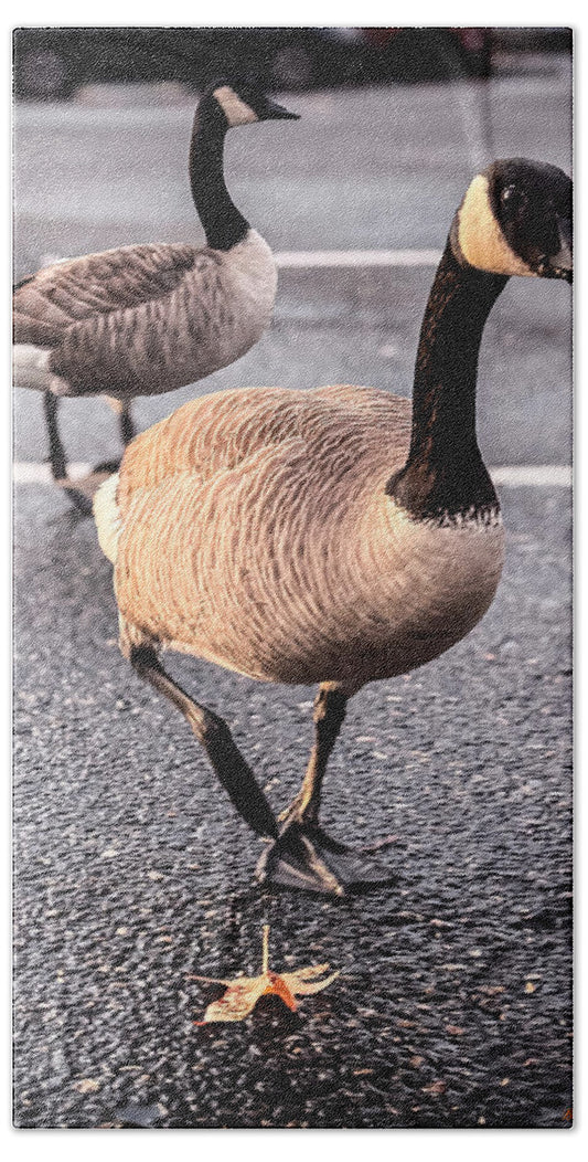 Geese in the parking lot - Beach Towel