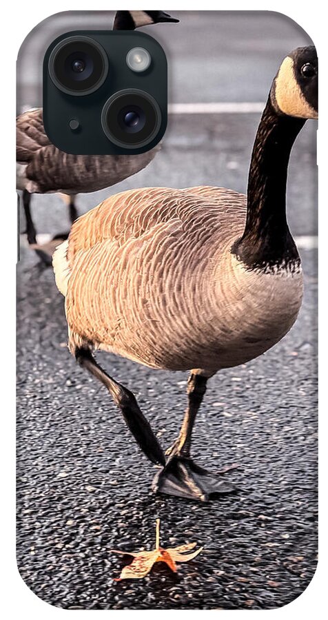 Geese in the parking lot - Phone Case