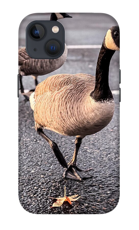Geese in the parking lot - Phone Case