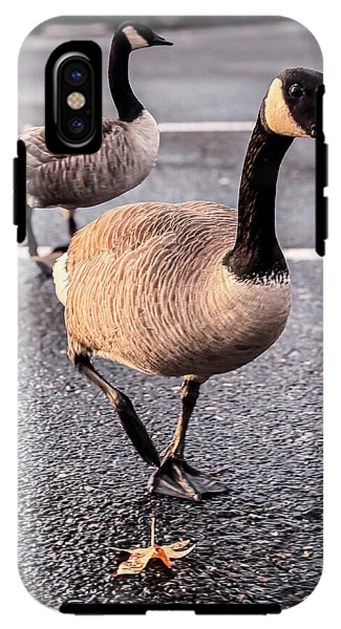 Geese in the parking lot - Phone Case