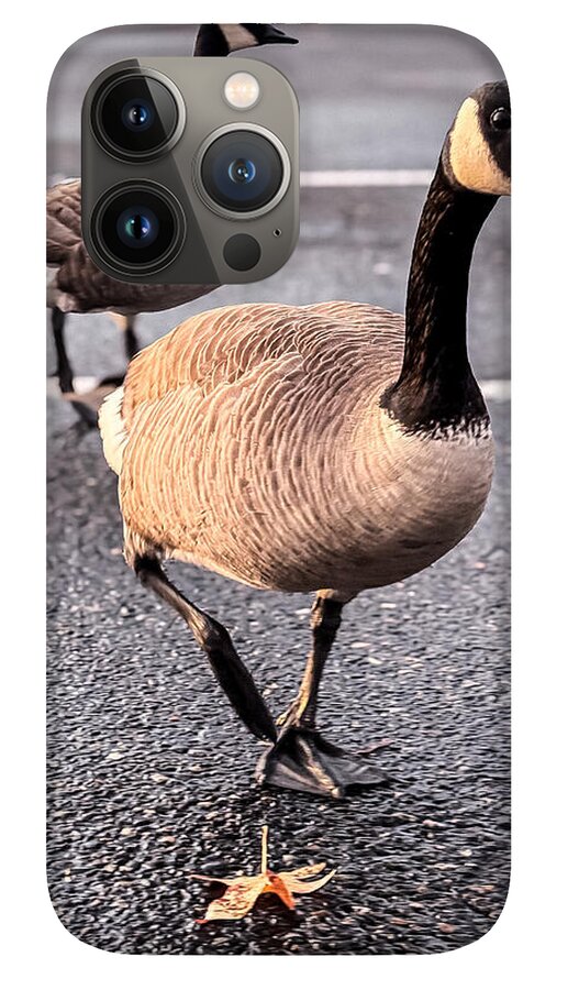 Geese in the parking lot - Phone Case