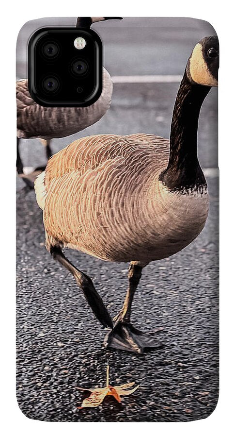 Geese in the parking lot - Phone Case