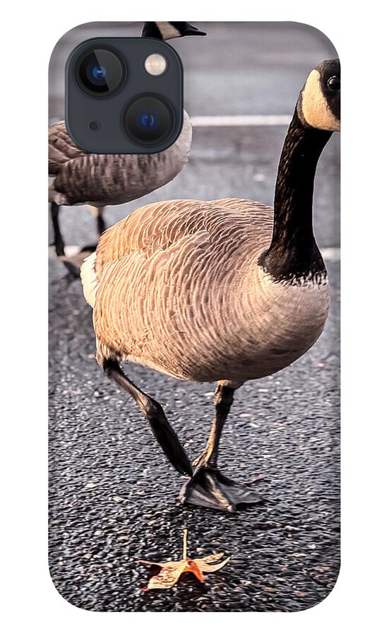 Geese in the parking lot - Phone Case