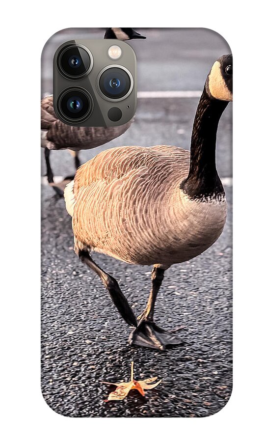 Geese in the parking lot - Phone Case