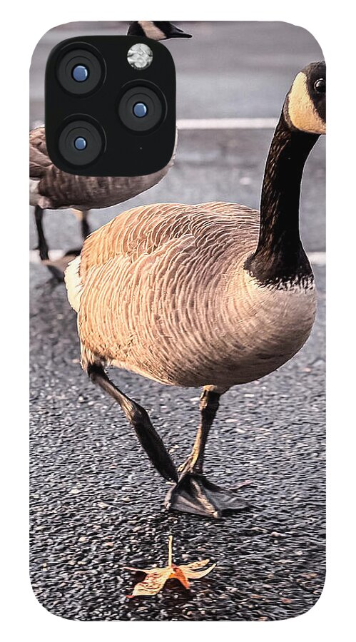 Geese in the parking lot - Phone Case