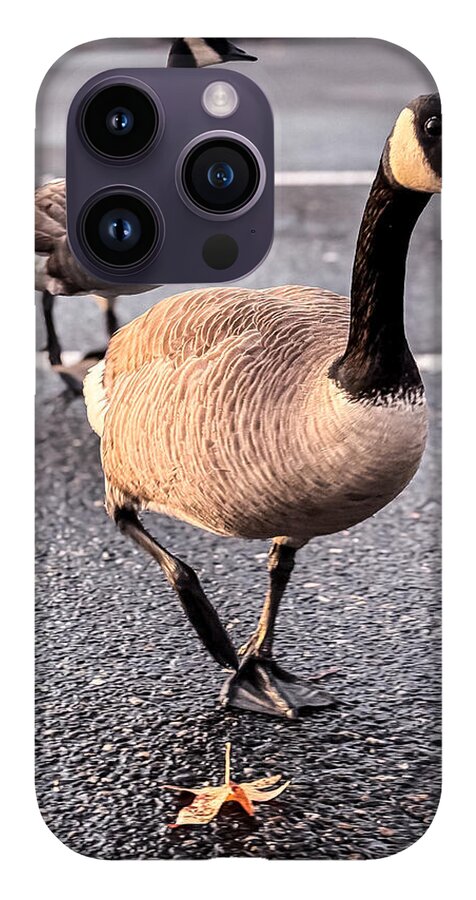 Geese in the parking lot - Phone Case
