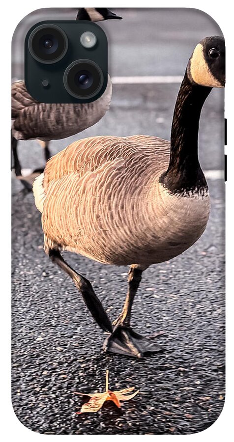 Geese in the parking lot - Phone Case