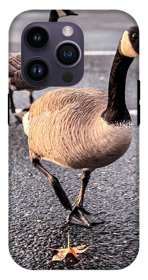 Geese in the parking lot - Phone Case