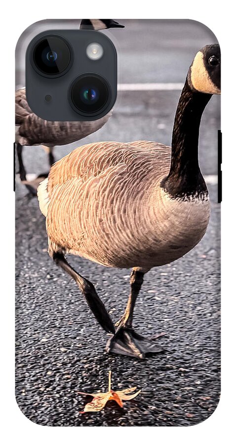 Geese in the parking lot - Phone Case