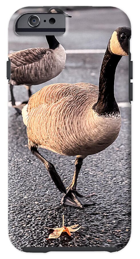 Geese in the parking lot - Phone Case