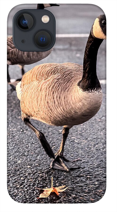 Geese in the parking lot - Phone Case