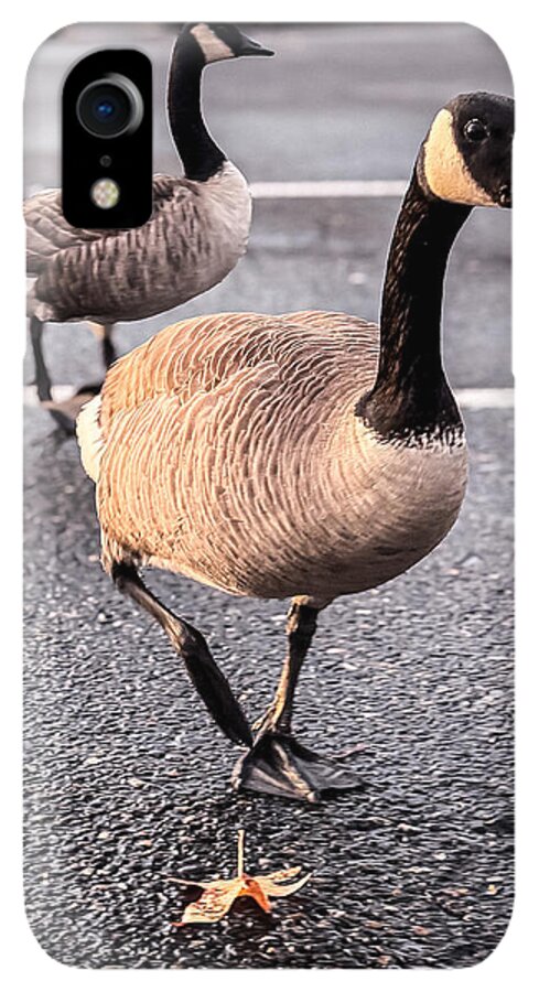 Geese in the parking lot - Phone Case