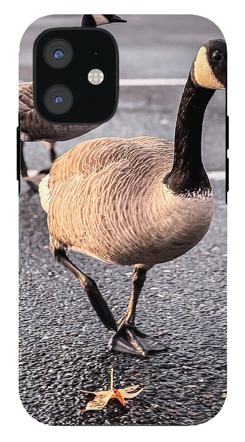 Geese in the parking lot - Phone Case