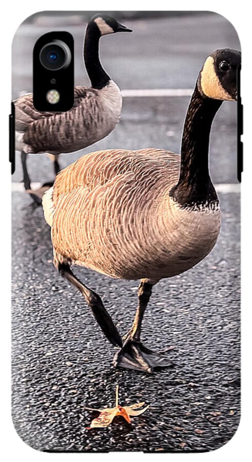 Geese in the parking lot - Phone Case