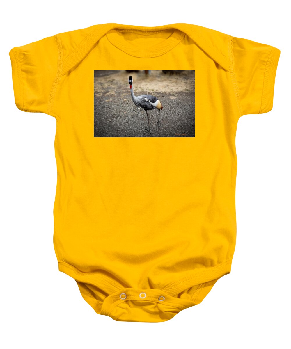 Goosed  - Baby Onesie