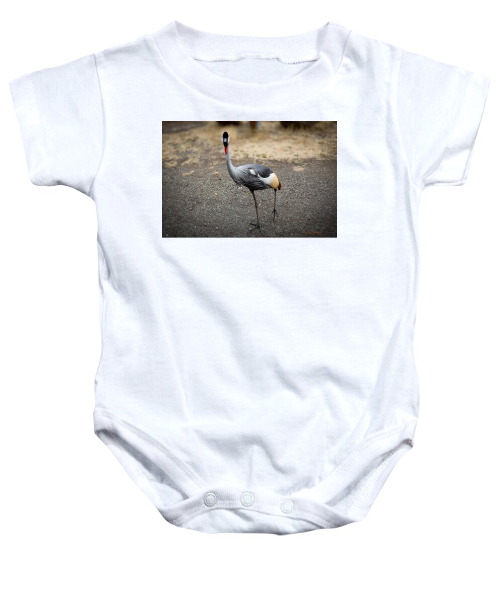 Goosed  - Baby Onesie