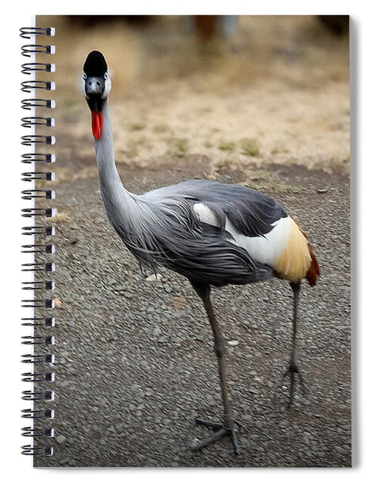 Goosed  - Spiral Notebook