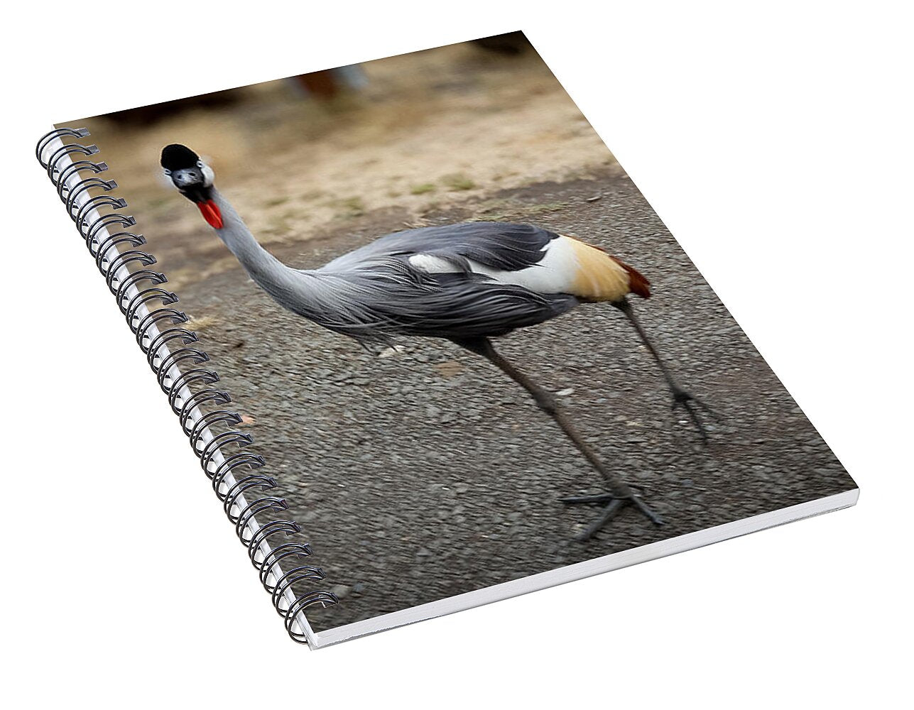 Goosed  - Spiral Notebook