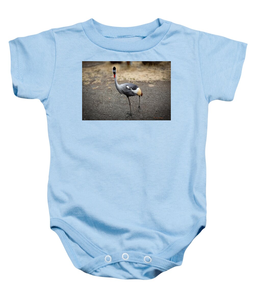 Goosed  - Baby Onesie
